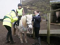 Pony Trekking